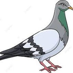 محمد الطالب