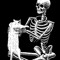 CHI_GATO3