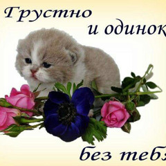 Никита Туряк