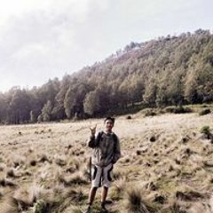 David Adi Karunia