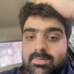 mujtaba marri