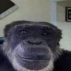 User 2793