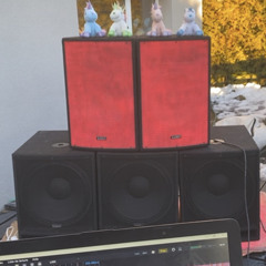 BAD BASS 23