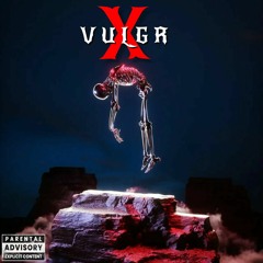 VULGR-X