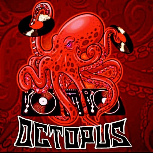 🐙 poulpe Octopus_6tem 🐙’s avatar