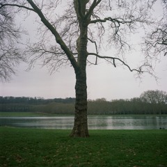 mehdi ait el mallali