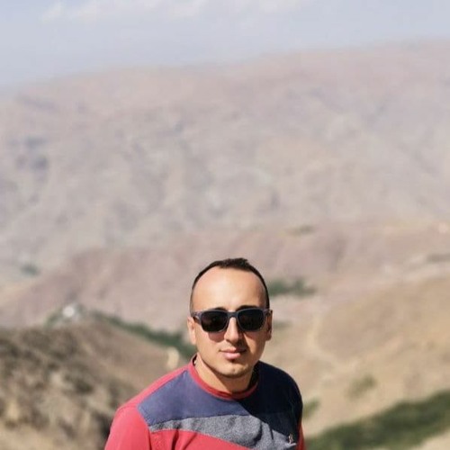 Masoud Mahdavi 1’s avatar