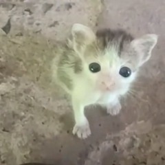 Ghosdeeri