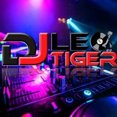 Leo Tiger Dj - Ldm Producer