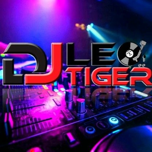 Leo Tiger Dj - Ldm Producer — artist photo