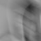 Stefi