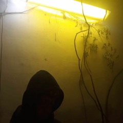 KRST