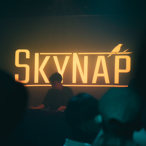 Skynap’s avatar