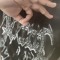 AnonBIt_shark