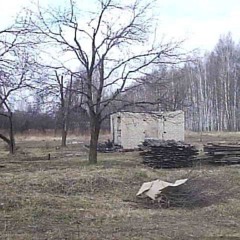 onthefloorontheceiling