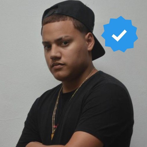 DJ PEIXÃO DA ISLÂNDIA ☑️’s avatar