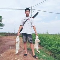 Nguyễn Đình Triển