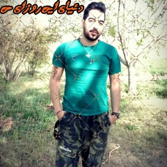 shahin021k