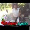 زينب السيسى السيسى