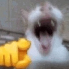 Terry Griffin-Chapman