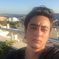 Onur Işık
