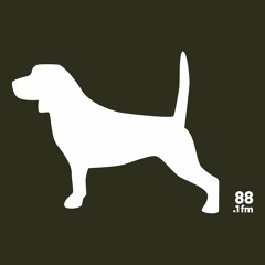 Beagle Radio 88.1FM