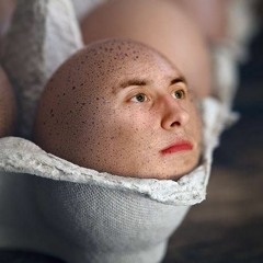 SREPPEX