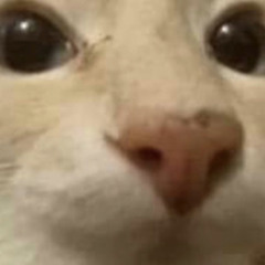 ok