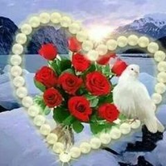 Abdulgfar Zaki