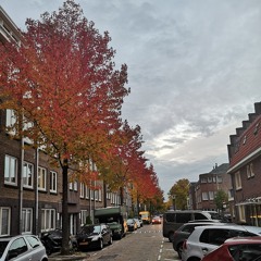 Jermaine Donkersloot