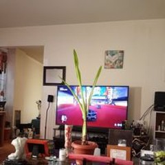 Tuscharkier Jamal Ouzts