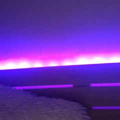 _hate.will.never.win_