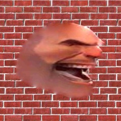 The notorious toilet thief: Destroyer of bathrooms