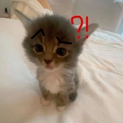 Trường_?!