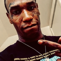 TreadLightly Maino
