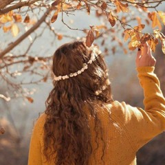 ماه عسل (بهنام بانى)