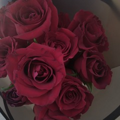 Haneen Ahmed ❤️.