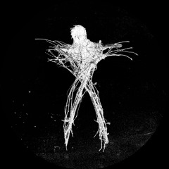 norton | miller | vine