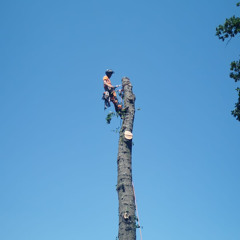 Dagaen Koby Wood