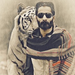 Mir Qamber Sajidi