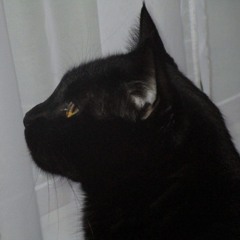 lucas
