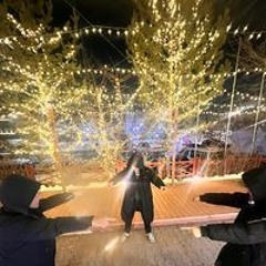 Tuguldur Jamiyansuren