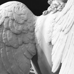 𝐯𝐚𝐥𝐢𝐝𝟎𝐥𝐥𝐬.