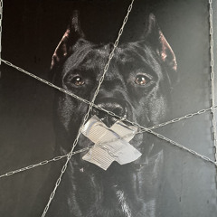 Антон Рябцев