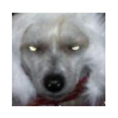 ᴳᵃˡᵃˣʸ ᵈʲ ♬ ᴸᴵᶠᴱ ᴼᶠ ᵀᴴᴱ ᴾᴬᴿᵀʸ ♪