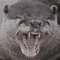 i can't believe it's not otter!