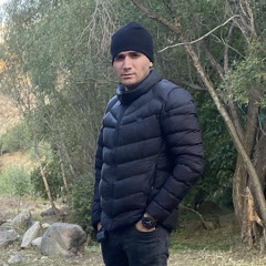 Aref Erfani