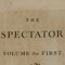 Spectator