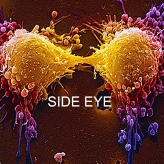 Side Eye