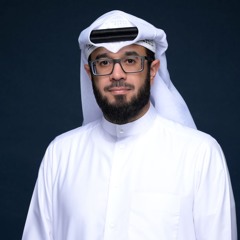 محمد المنيس
